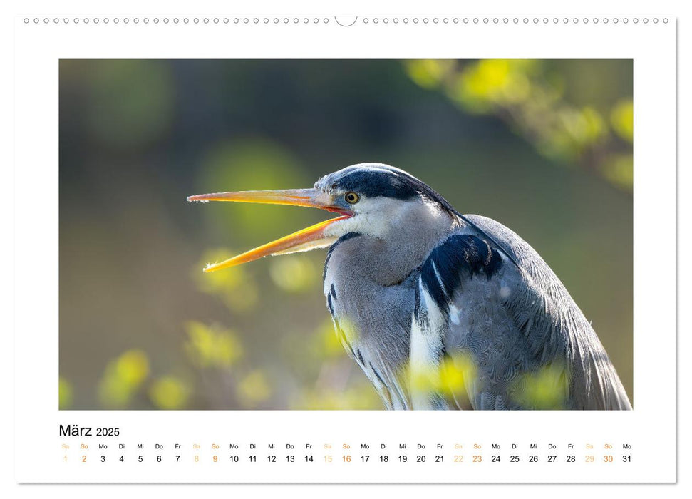 Wiener Tierwelt (CALVENDO Premium Wandkalender 2025)