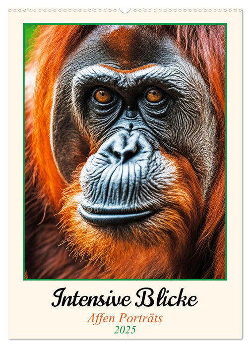 Intensive Blicke - Affen Porträts (CALVENDO Wandkalender 2025)