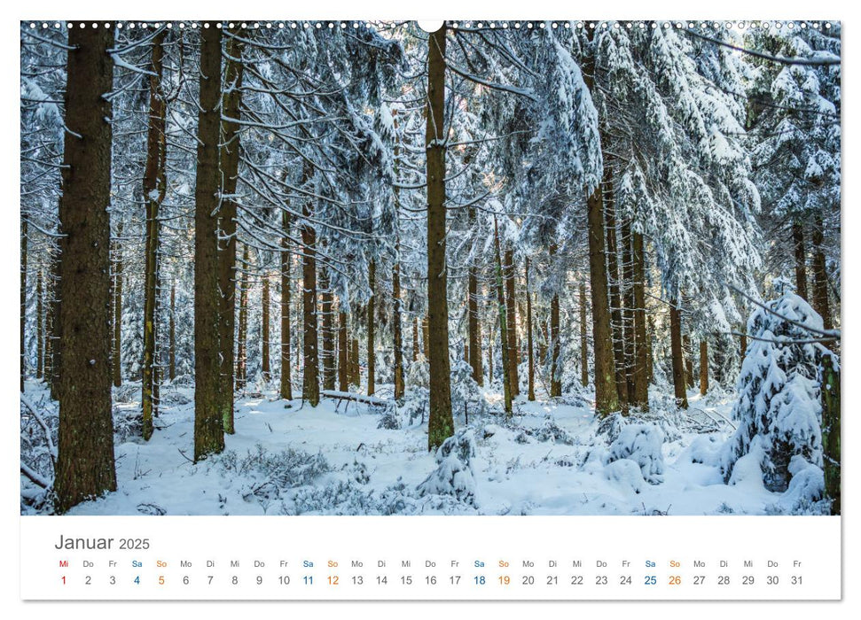 Rennsteig - Weitwanderweg (CALVENDO Premium Wandkalender 2025)