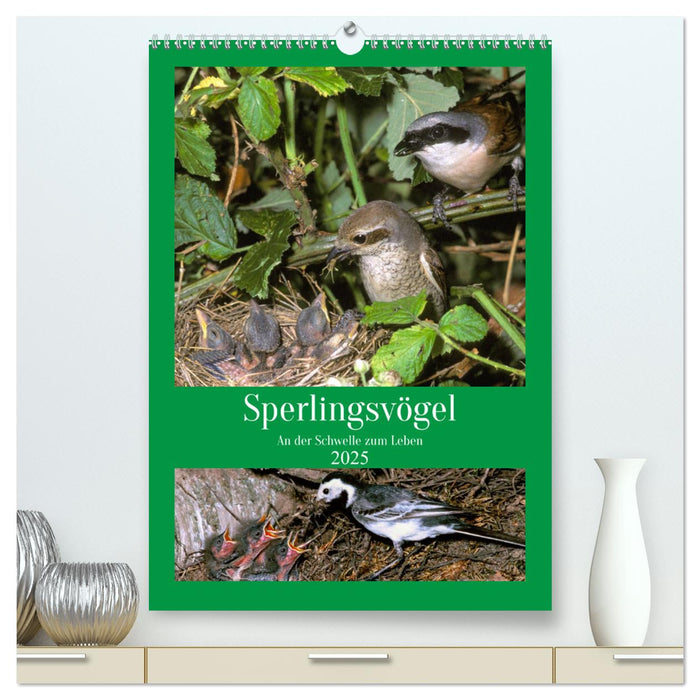 Sperlingsvögel an der Schwelle zum Leben (CALVENDO Premium Wandkalender 2025)