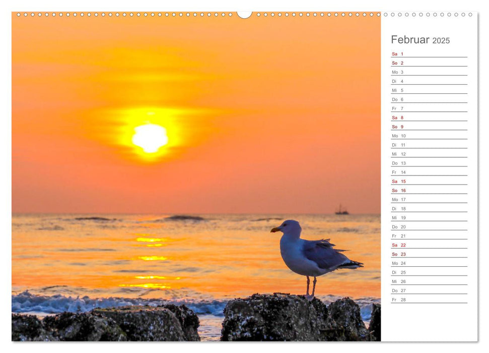 Nodseeinsel Sylt - Impressionen der beliebtesten Insel Deutschlands (CALVENDO Wandkalender 2025)