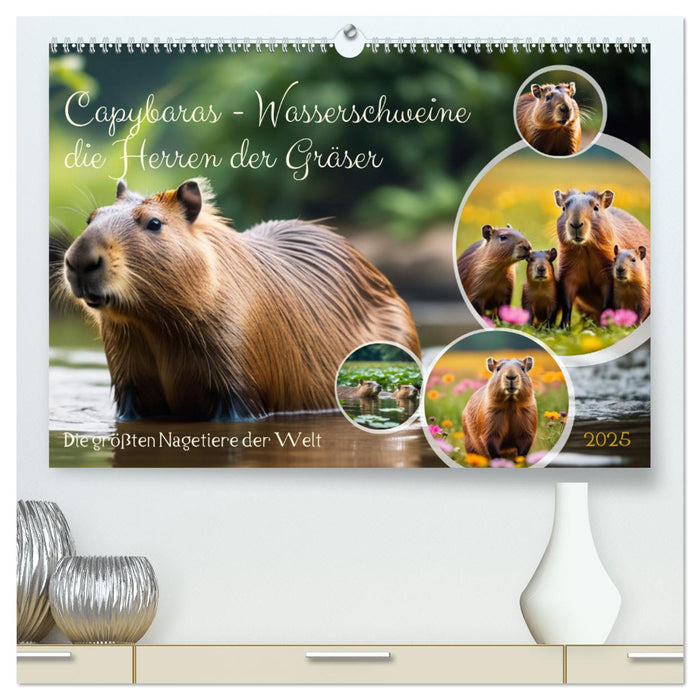 Capybaras - Wasserschweine die Herren der Gräser (CALVENDO Premium Wandkalender 2025)