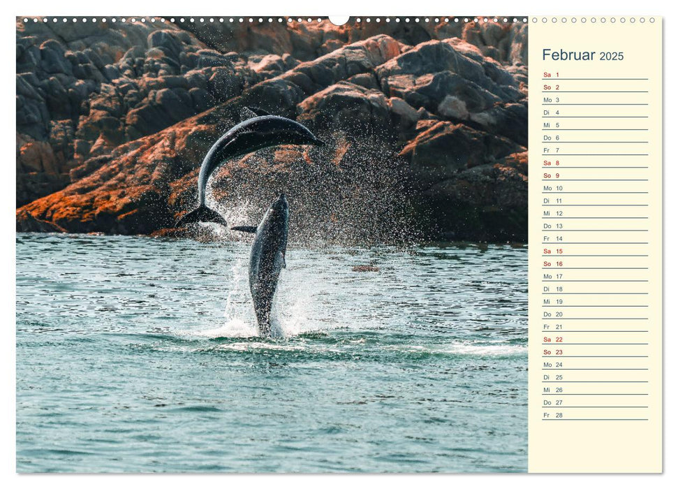 Oman - Unvergessliche Momente (CALVENDO Wandkalender 2025)