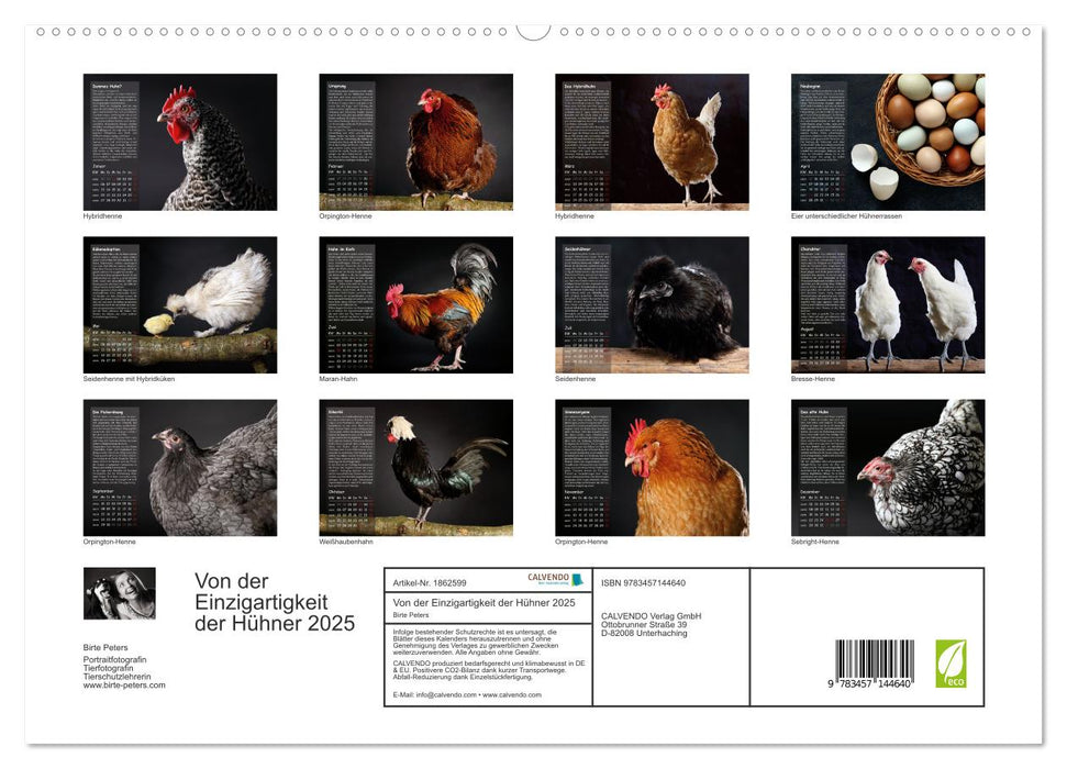 Von der Einzigartigkeit der Hühner 2025 (CALVENDO Premium Wandkalender 2025)