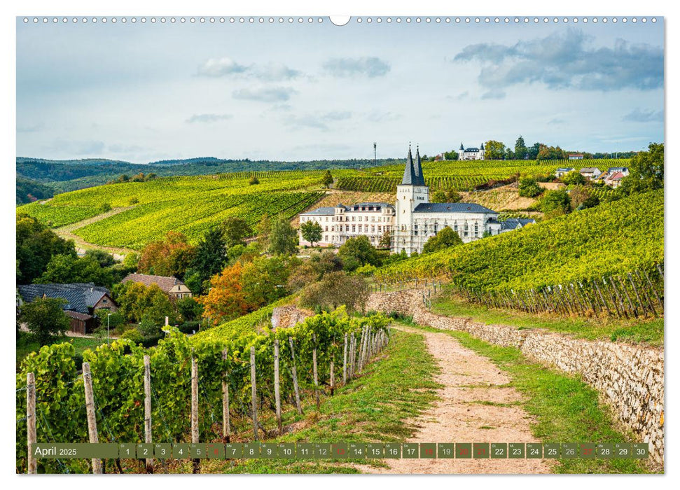 Kulturlandschaft Rheingau (CALVENDO Wandkalender 2025)