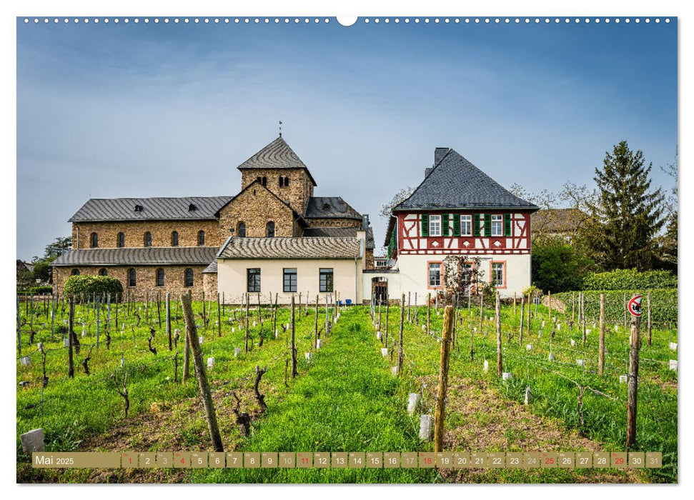 Kulturlandschaft Rheingau (CALVENDO Wandkalender 2025)