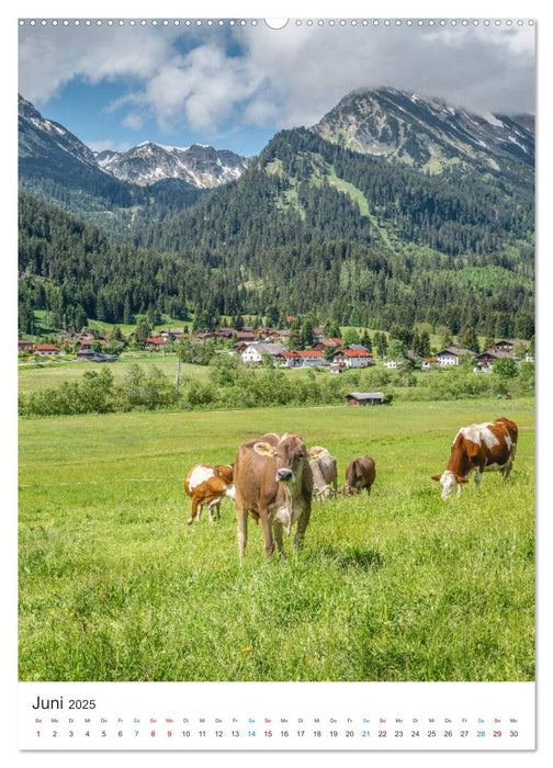 Sommerzauber in den Alpen (CALVENDO Wandkalender 2025)
