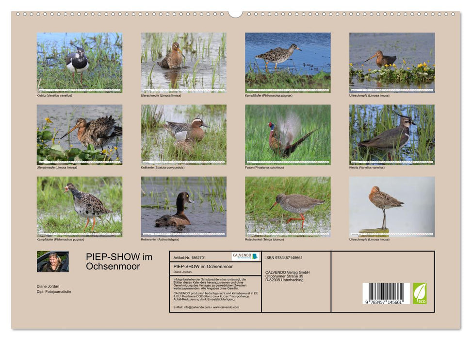 PIEP-SHOW im Ochsenmoor (CALVENDO Premium Wandkalender 2025)