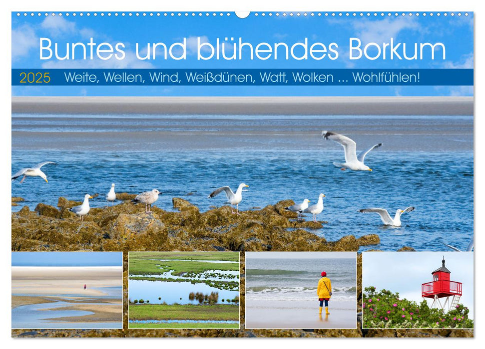 Buntes und blühendes Borkum (CALVENDO Wandkalender 2025)