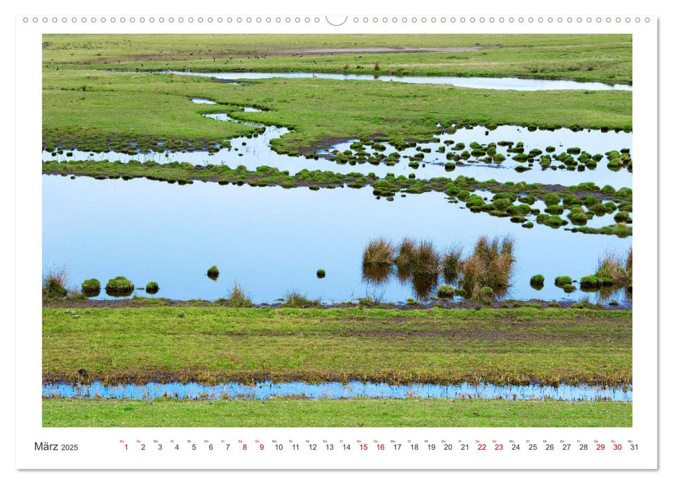 Buntes und blühendes Borkum (CALVENDO Wandkalender 2025)