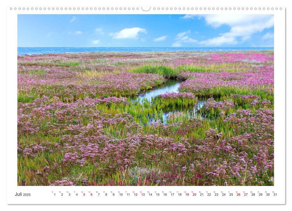 Buntes und blühendes Borkum (CALVENDO Premium Wandkalender 2025)