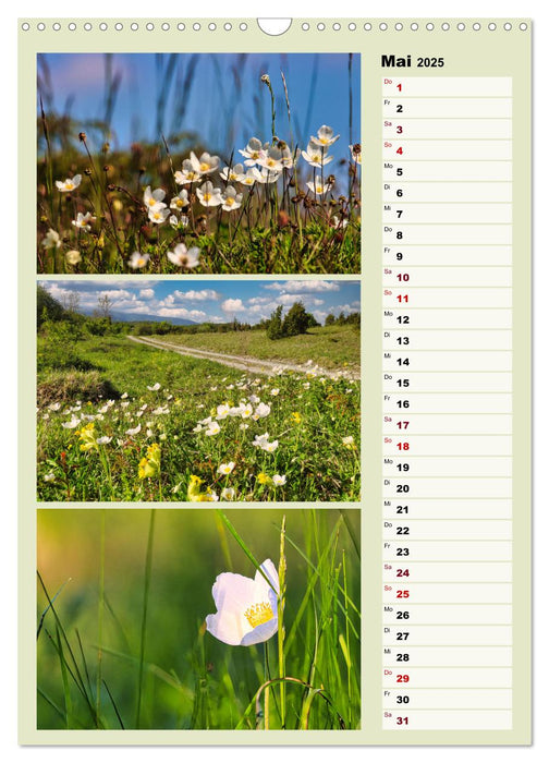 Harmonie der Farben in Landschaft und Natur (CALVENDO Wandkalender 2025)