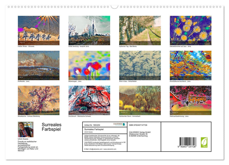 Surreales Farbspiel (CALVENDO Premium Wandkalender 2025)