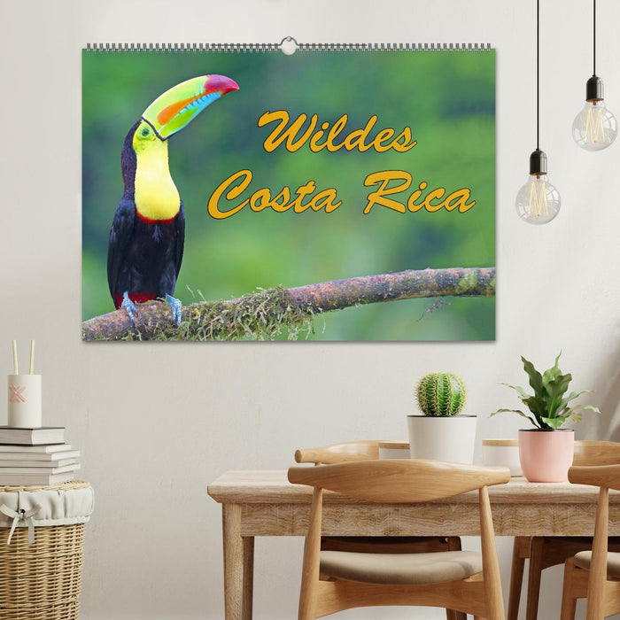 Wildes Costa Rica (CALVENDO Wandkalender 2025)