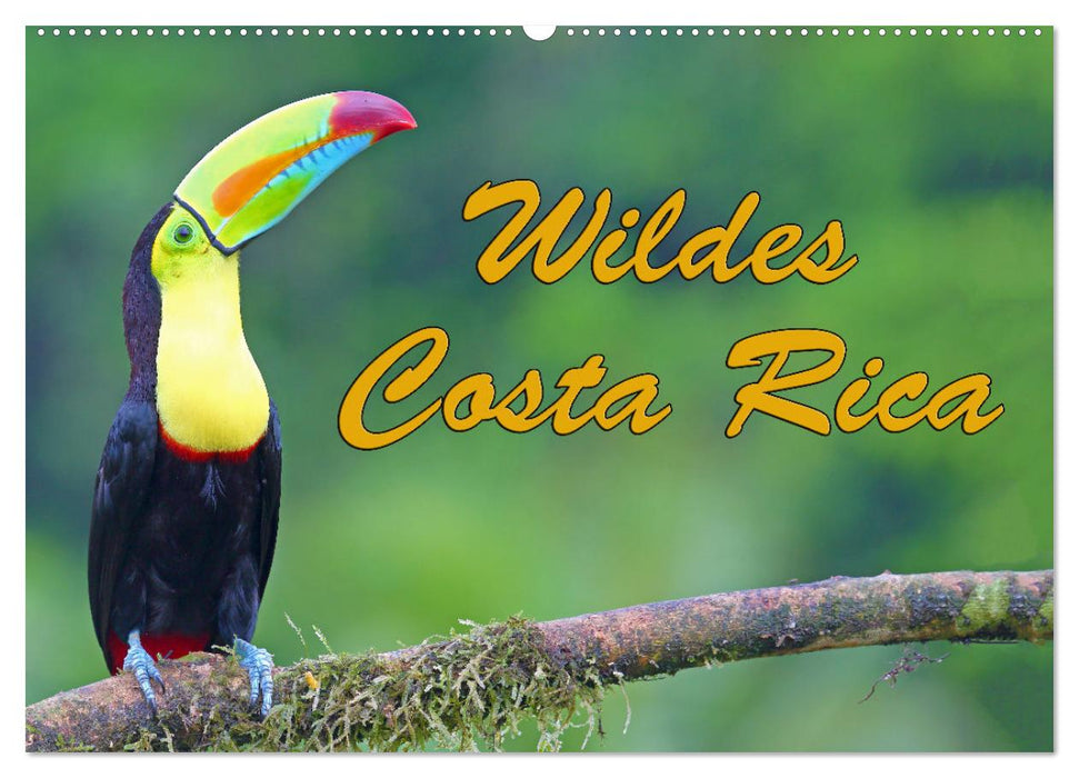Wildes Costa Rica (CALVENDO Wandkalender 2025)