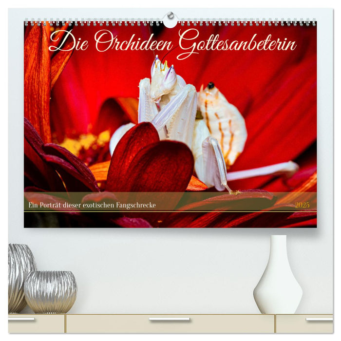 Die Orchideen Gottesanbeterin (CALVENDO Premium Wandkalender 2025)
