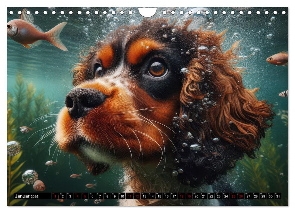 Badespaß - Hunde unter Wasser (CALVENDO Wandkalender 2025)