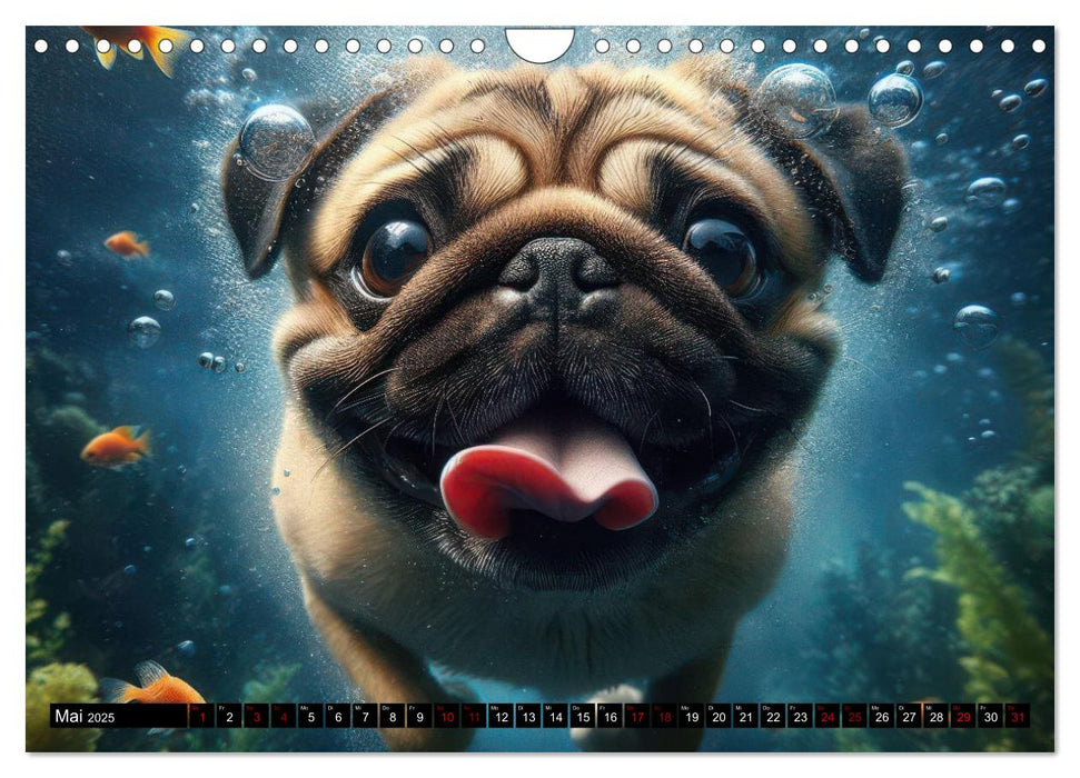 Badespaß - Hunde unter Wasser (CALVENDO Wandkalender 2025)