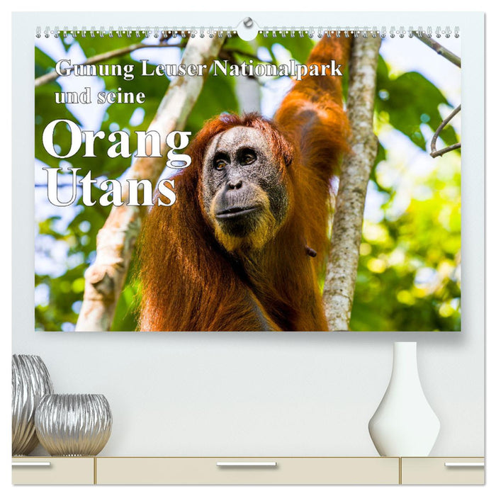 Gunung Leuser Nationalpark und seine Orang Utans (CALVENDO Premium Wandkalender 2025)