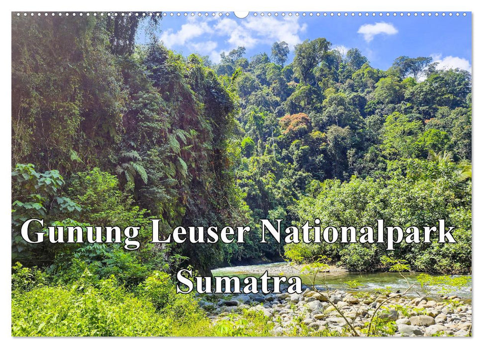 Gunung Leuser Nationalpark Sumatra (CALVENDO Wandkalender 2025)