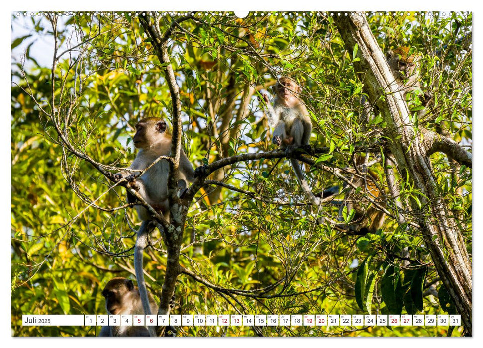 Gunung Leuser Nationalpark Sumatra (CALVENDO Premium Wandkalender 2025)