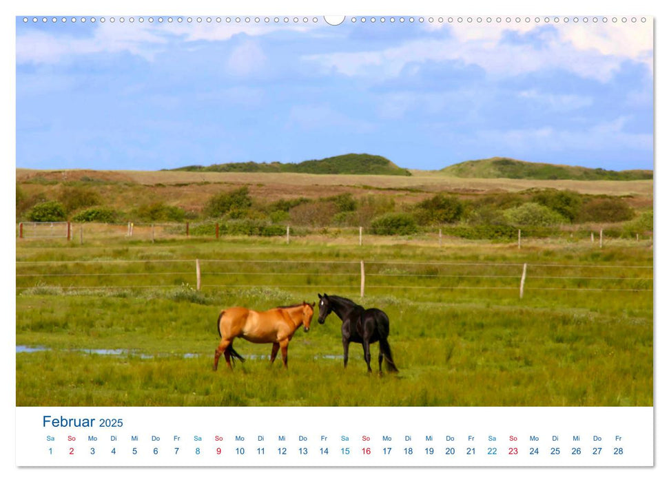 Langeoog 2025. Impressionen zwischen Hafen und Ostende (CALVENDO Wandkalender 2025)