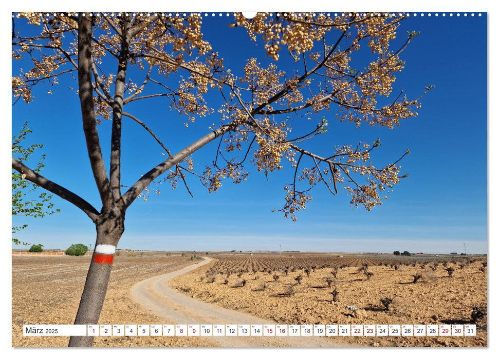 Camino Levante - magische Momente auf stillen Wegen (CALVENDO Premium Wandkalender 2025)