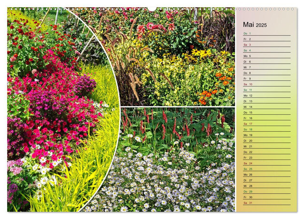 Blühende Gartenparks in Mannheim (CALVENDO Premium Wandkalender 2025)