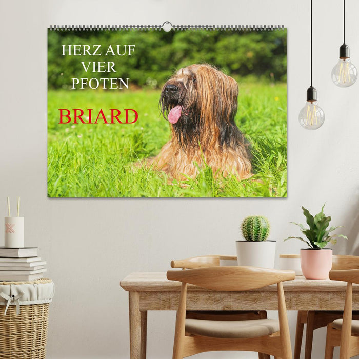 Herz auf vier Pfoten - Briard (CALVENDO Wandkalender 2025)