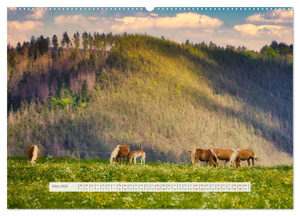 Die Vielfalt des Thüringer Waldes (CALVENDO Wandkalender 2025)