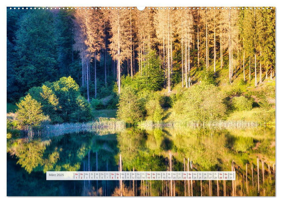 Die Schönheit des Thüringer Waldes (CALVENDO Wandkalender 2025)