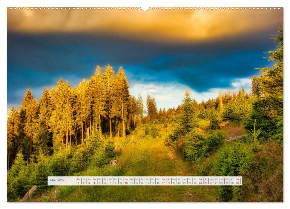 Die Schönheit des Thüringer Waldes (CALVENDO Premium Wandkalender 2025)