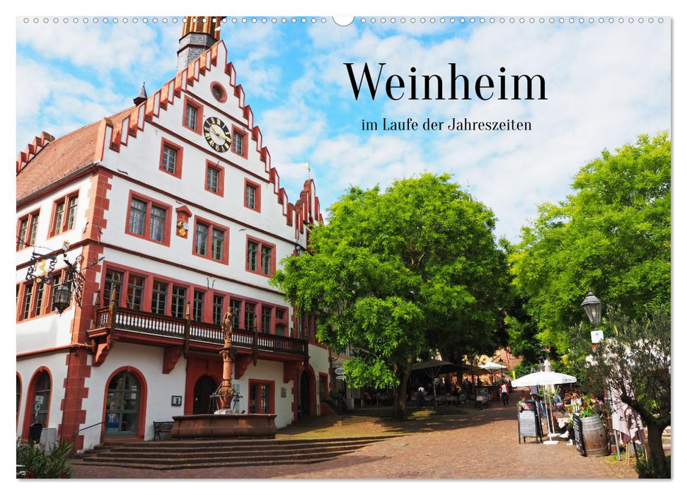 Weinheim im Laufe der Jahreszeiten (CALVENDO Wandkalender 2025)