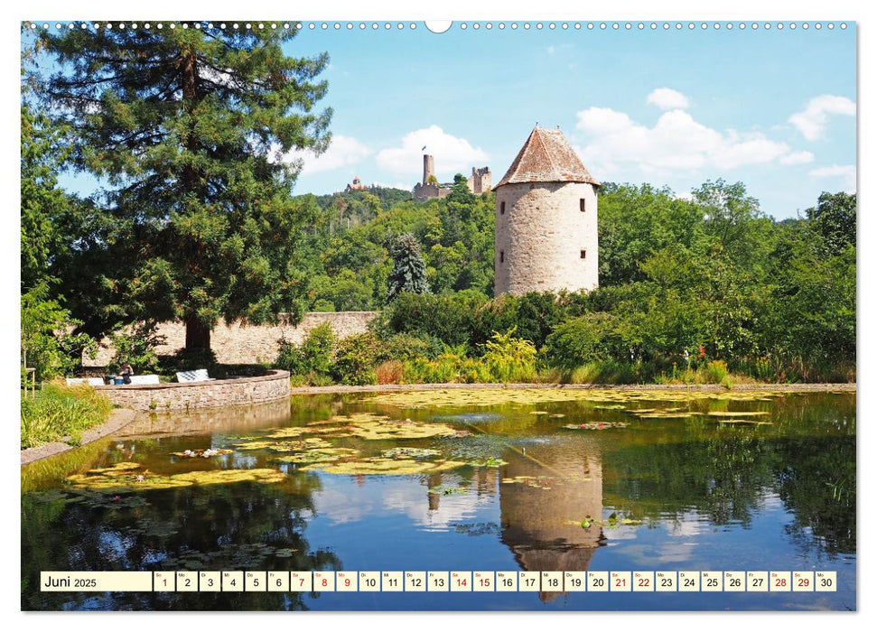 Weinheim im Laufe der Jahreszeiten (CALVENDO Wandkalender 2025)