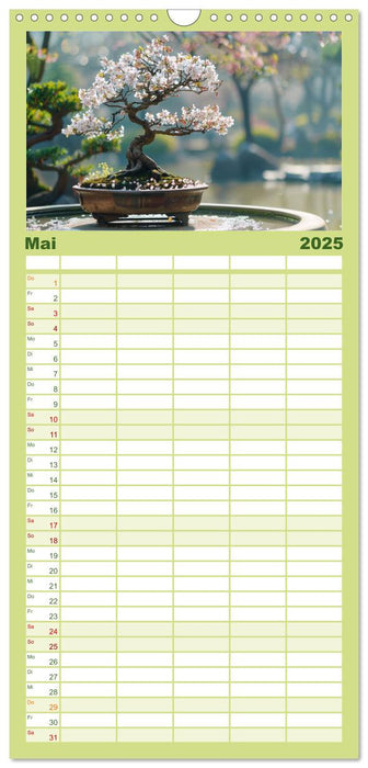 Bonsai meditativ (CALVENDO Familienplaner 2025)