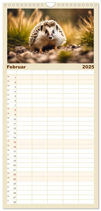 Igel - Wildtier des Jahres 2024 (CALVENDO Familienplaner 2025)
