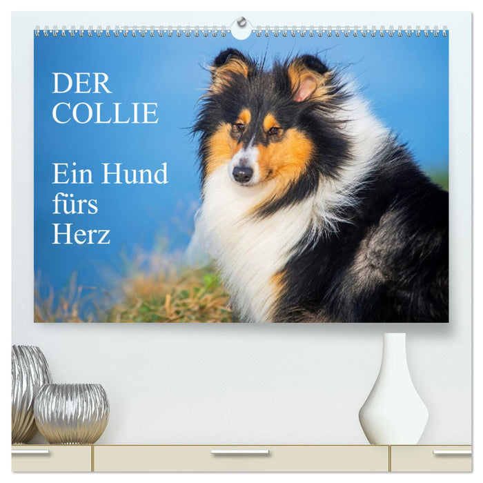 Der Collie - ein Hund fürs Herz (CALVENDO Premium Wandkalender 2025)