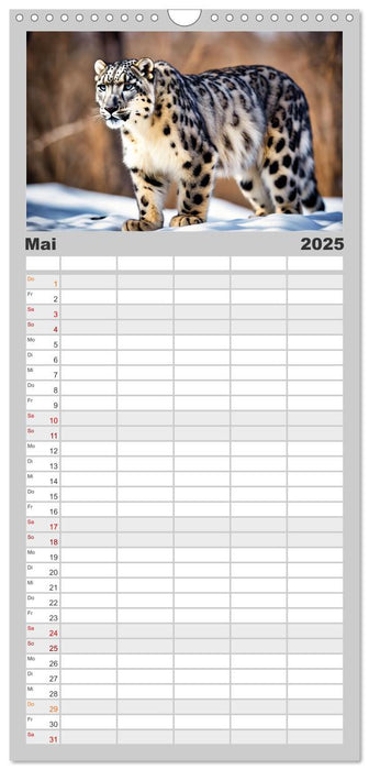 Schneeleoparden - Meister der Tarnung (CALVENDO Familienplaner 2025)