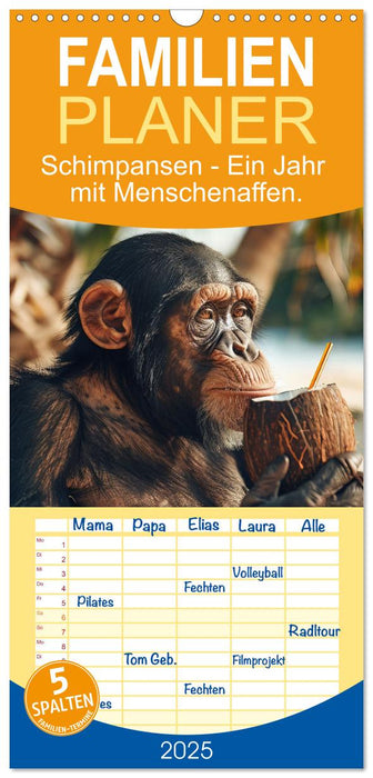 Schimpansen - Ein Jahr mit Menschenaffen. (CALVENDO Familienplaner 2025)