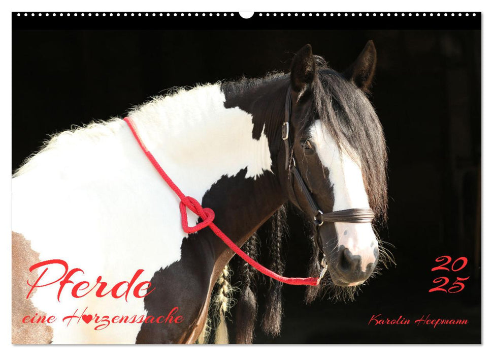 Pferde - eine Herzenssache (CALVENDO Wandkalender 2025)
