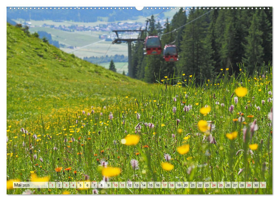 Bergbahnen in den Alpen (CALVENDO Wandkalender 2025)