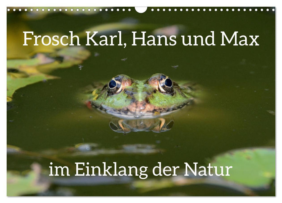 Frosch Karl, Hans und Max im Einklang der Natur (CALVENDO Wandkalender 2025)