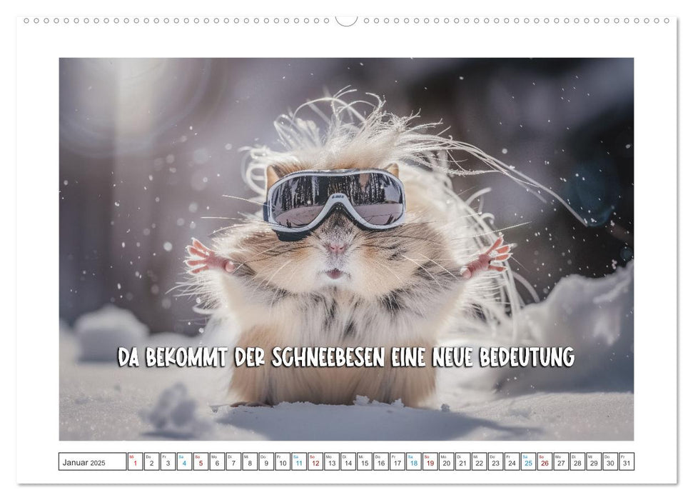 Humorvoll durch das Jahr (CALVENDO Premium Wandkalender 2025)
