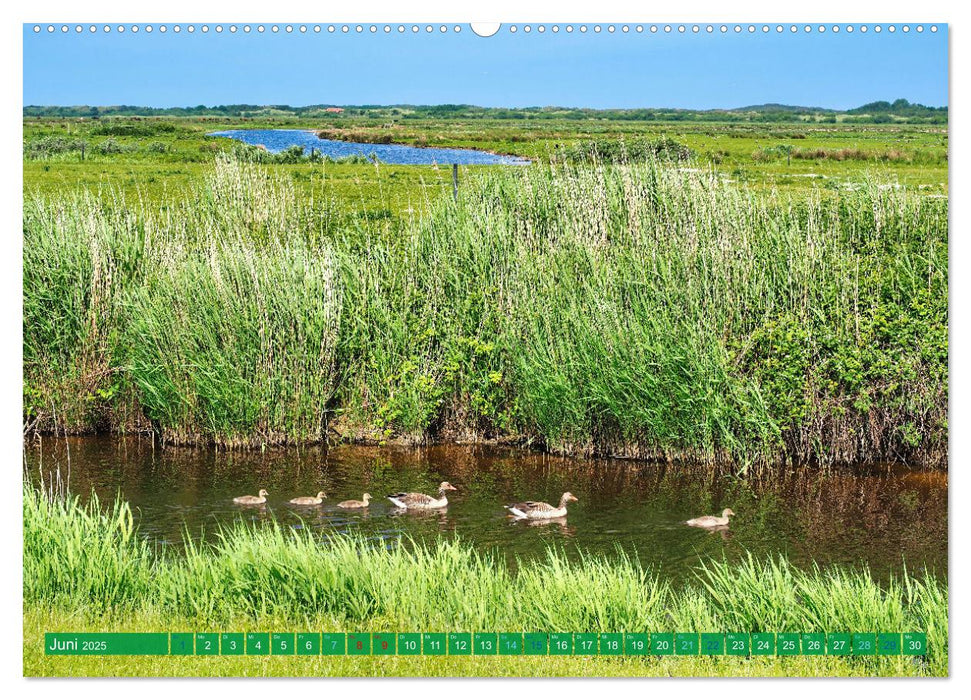 Borkum Ansichten (CALVENDO Wandkalender 2025)