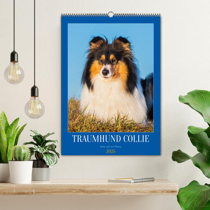 Traumhund Collie - Liebe auf vier Pfoten (CALVENDO Wandkalender 2025)