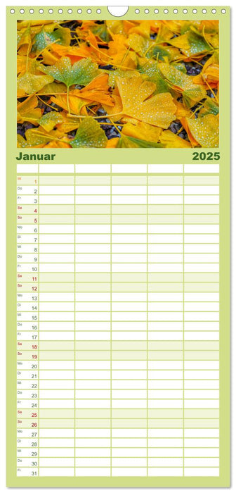 Mit Ginkgo biloba durch das Jahr (CALVENDO Familienplaner 2025)