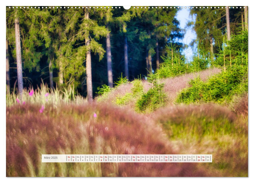 Traumhafte Waldstimmung am Rennsteig im Thüringer Wald (CALVENDO Premium Wandkalender 2025)