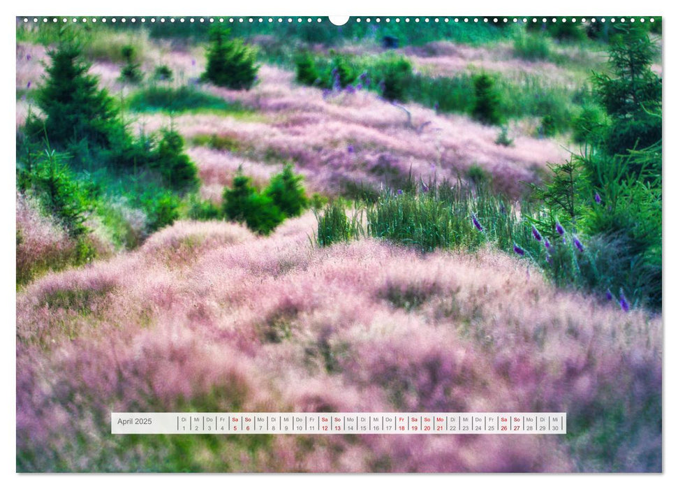 Traumhafte Waldstimmung am Rennsteig im Thüringer Wald (CALVENDO Premium Wandkalender 2025)