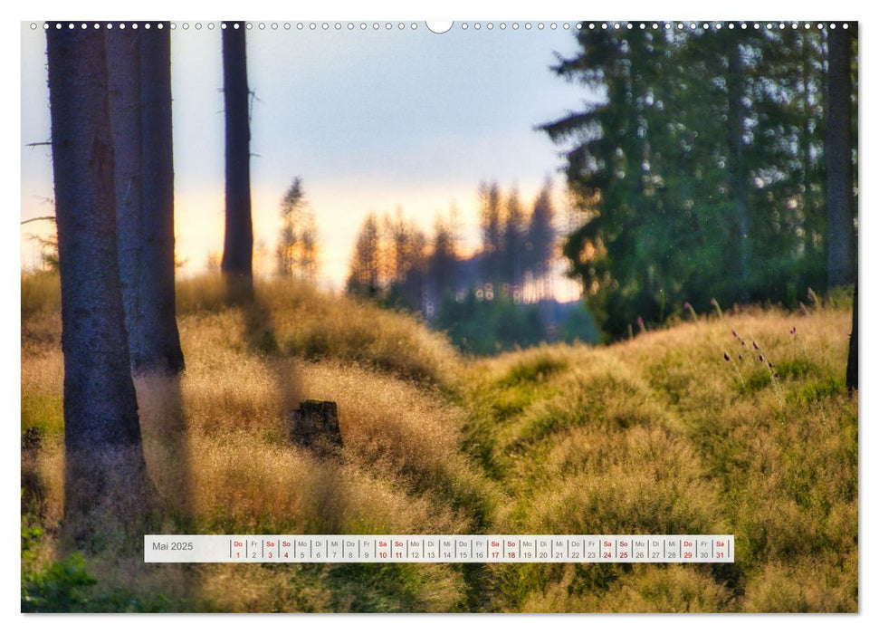 Traumhafte Waldstimmung am Rennsteig im Thüringer Wald (CALVENDO Premium Wandkalender 2025)