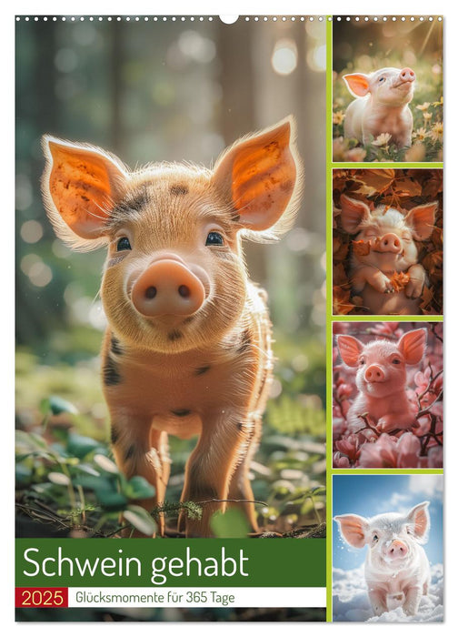 Schwein gehabt (CALVENDO Wandkalender 2025)
